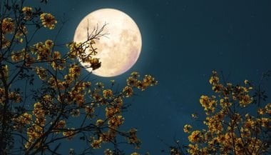Lua Cheia em Virgem — 7 de março de 2023: saiba o que muda