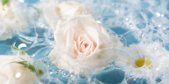 Rosas brancas e outras flores em uma banheira com espuma