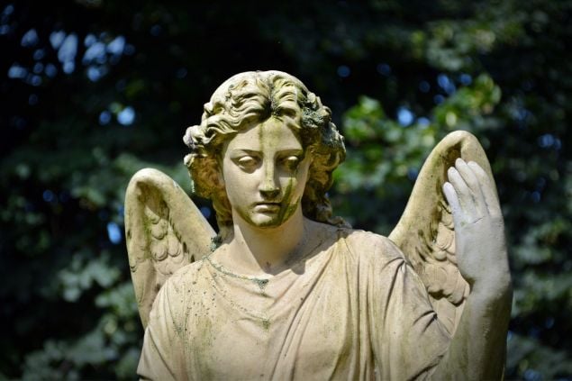 Imagem da estátua de um anjo em meio a natureza
