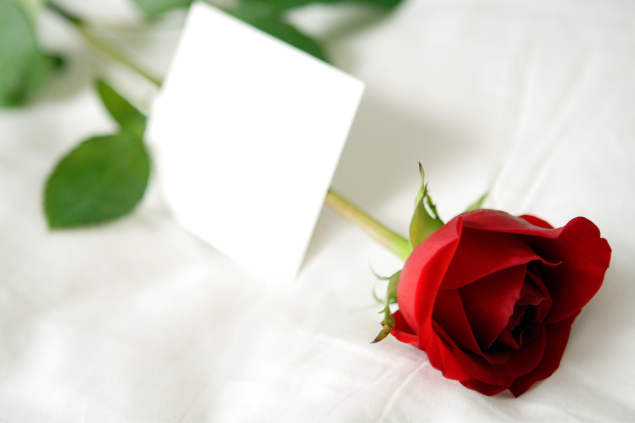 Rosa vermelha enrolada em um papel, em cima da mesa