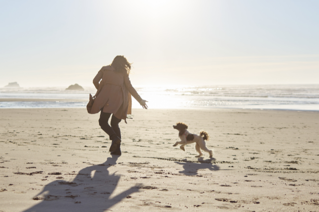 Pessoa correndo com cachorro na praia