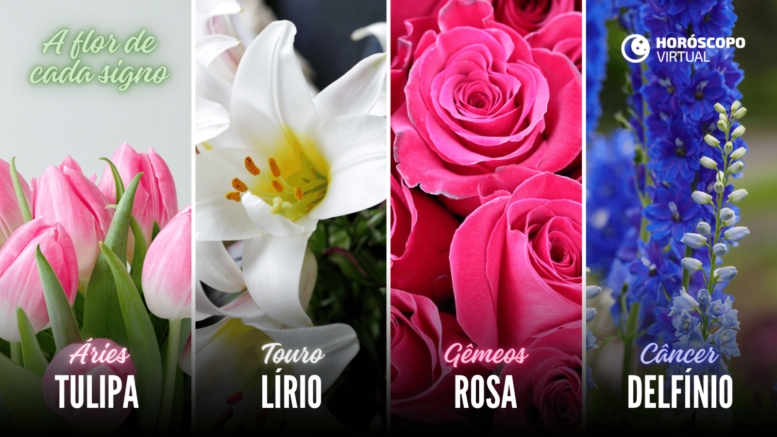 Montagem com flores Tulipa, Lírio, Rosa e Delfínio