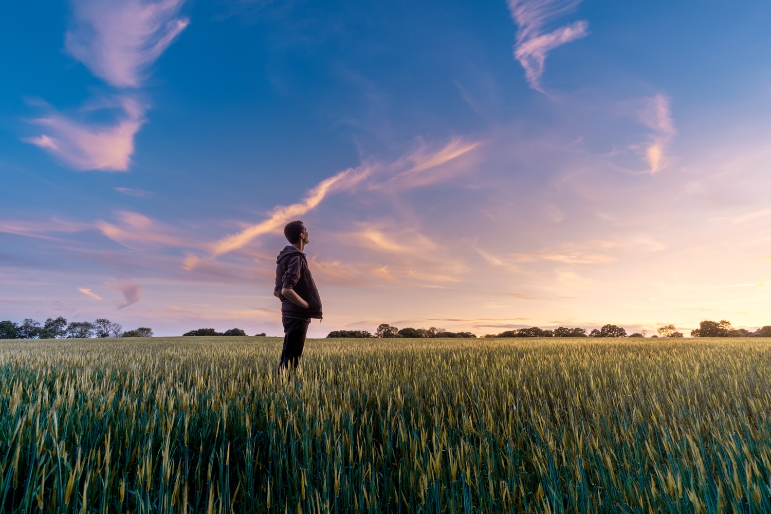 Homem em pé no meio de um gramado olhando para o céu